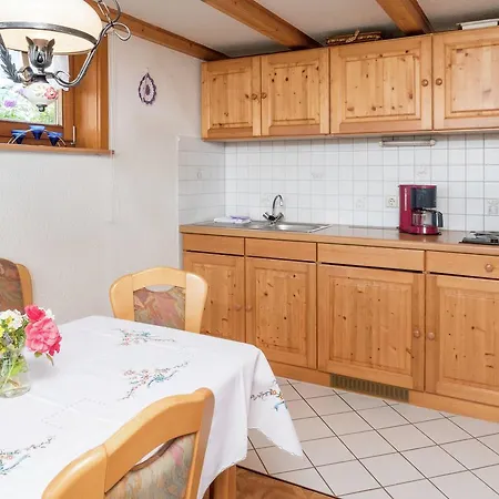 Lovely In Neukirch With Private Terrace Furtwangen im Schwarzwald