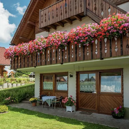 Lovely In Neukirch With Private Terrace