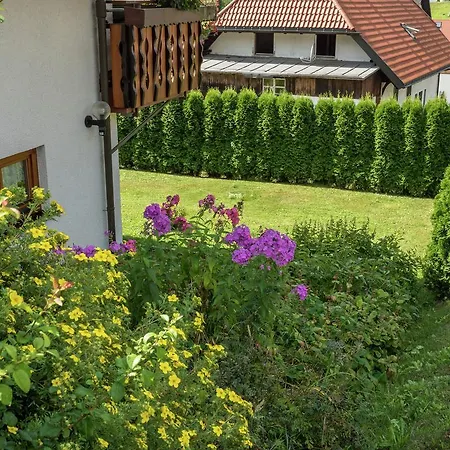 Lovely In Neukirch With Private Terrace Apartament *