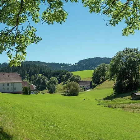 Lovely In Neukirch With Private Terrace * Furtwangen im Schwarzwald