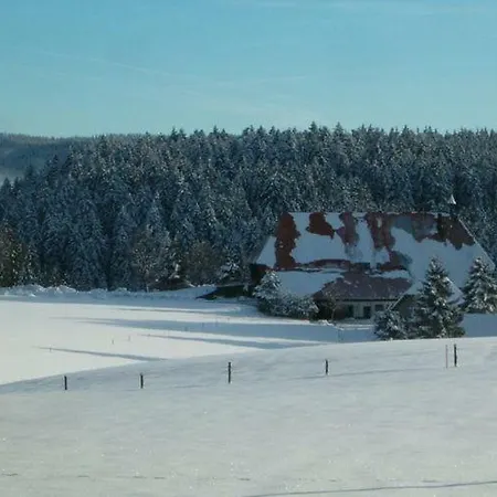 Lovely In Neukirch With Private Terrace * Furtwangen im Schwarzwald
